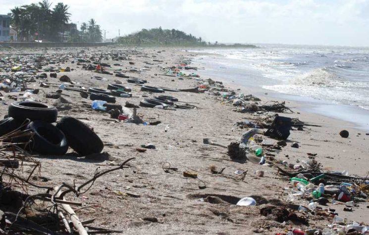 Wake Up, Capitalists! If the Oceans Die, so Does Your Global Economic Project