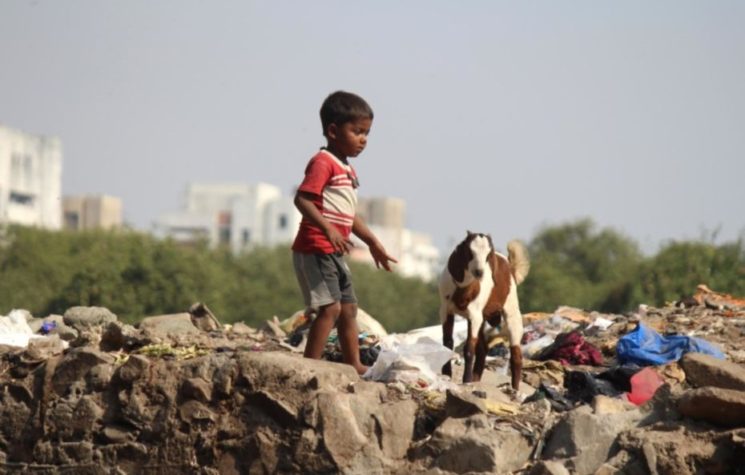 Garbage Apocalypse Now! Corporations Have Escaped Blame for Too Long