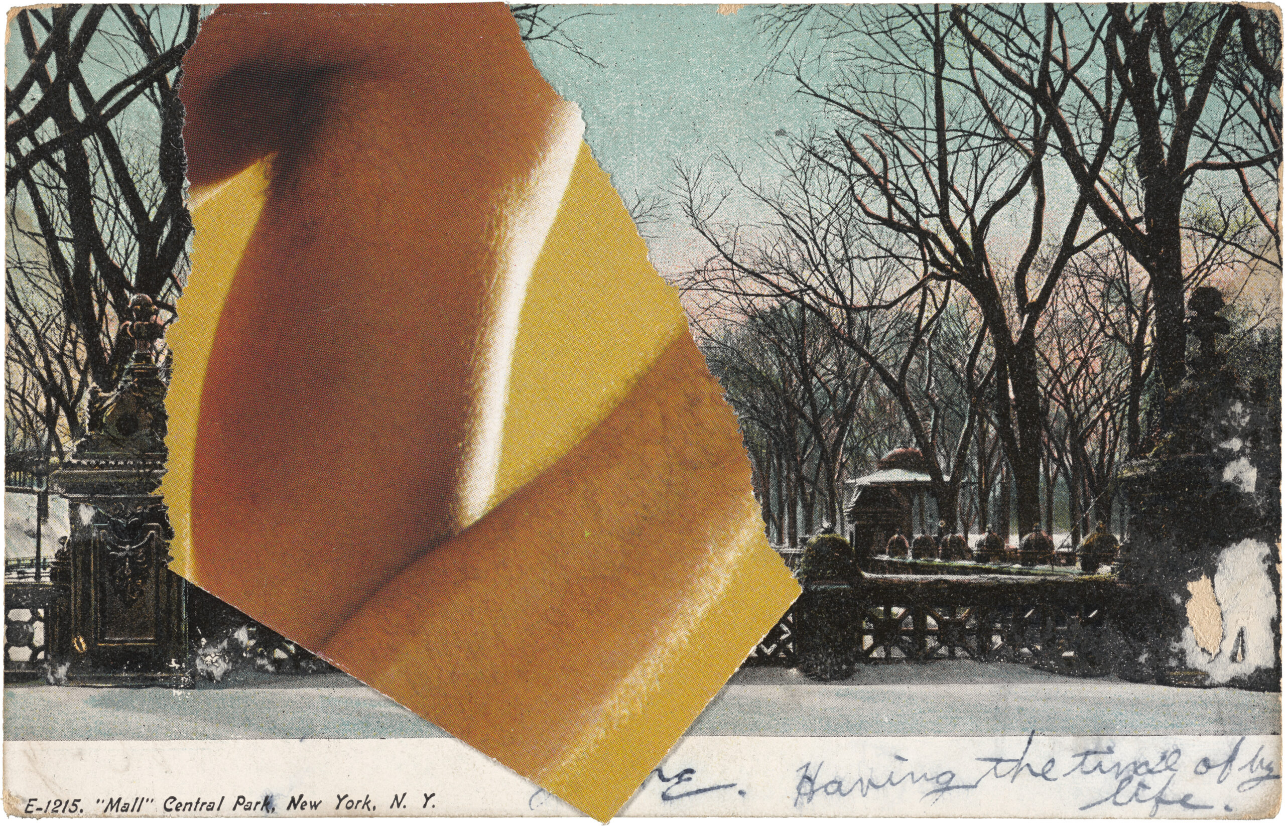 Postcards from Ellsworth