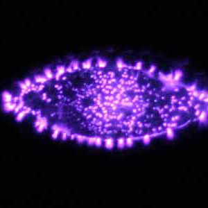 Kirlian photography of aluminium orgonite
