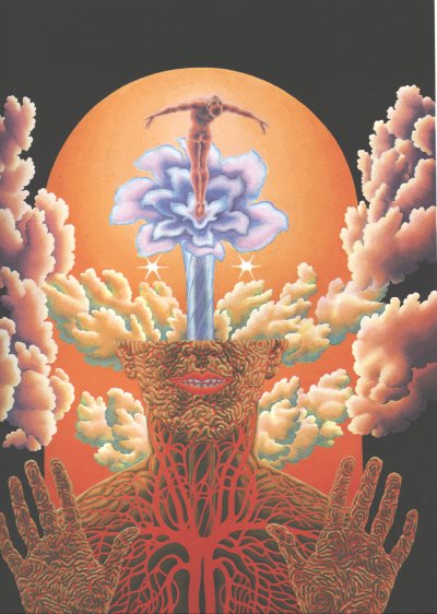 Cover of John Lilly's book 'The Centre of the Cyclone'