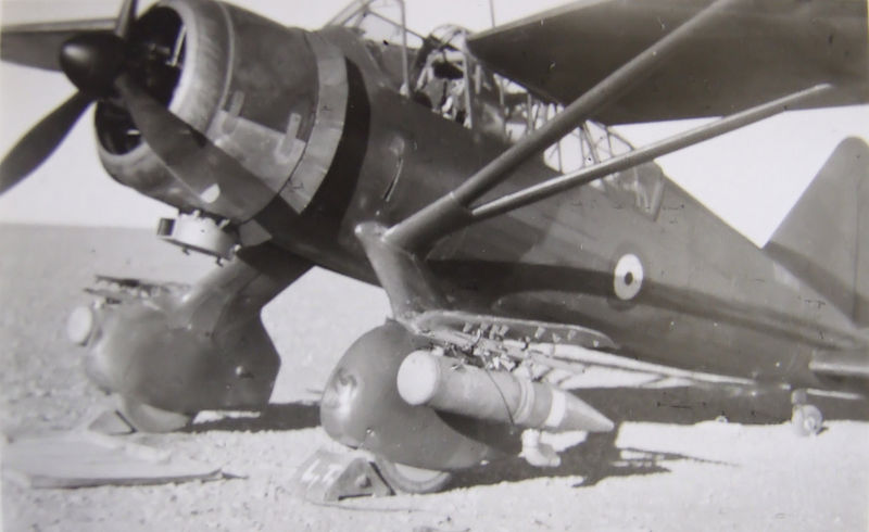 File:Lysander prepared for gas spraying.jpg