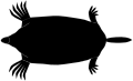 Mole