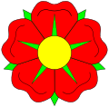 Rose, symmetrical