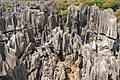 stone forest Shilin (Yunnan, Cina)