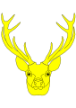 Stag head cabossed, drawn from life