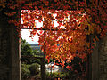 ottobre in Slovenia