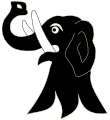 Elephant head