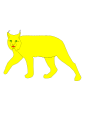 Lynx, drawn from life